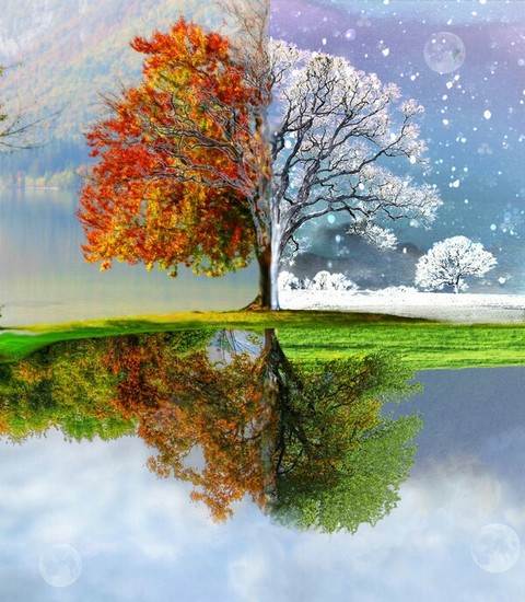 Seasonal changes. :) :) :)