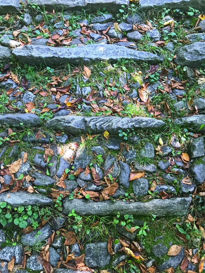 #season #autumn