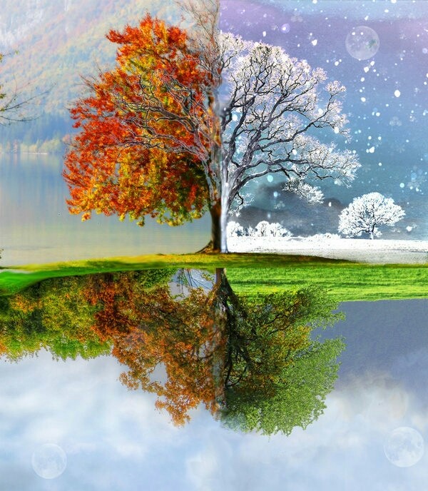Seasonal changes. :) :) :)