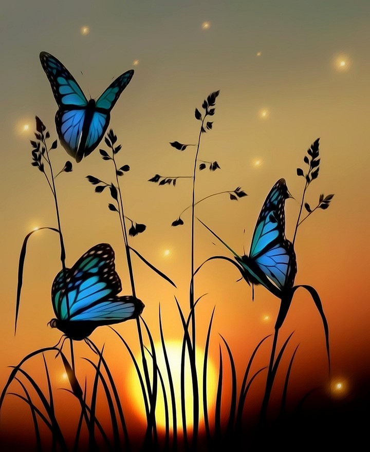 Sunset beauty