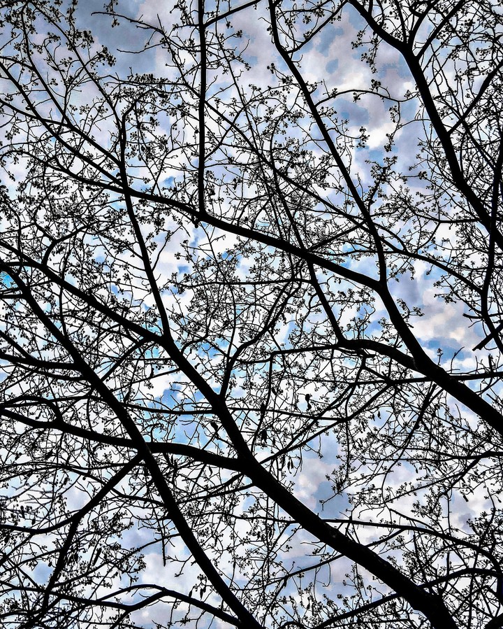 Spring