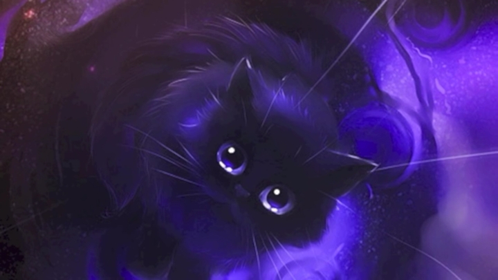 Rain cat