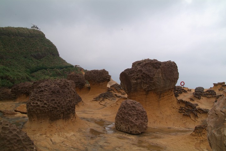 Scenics
