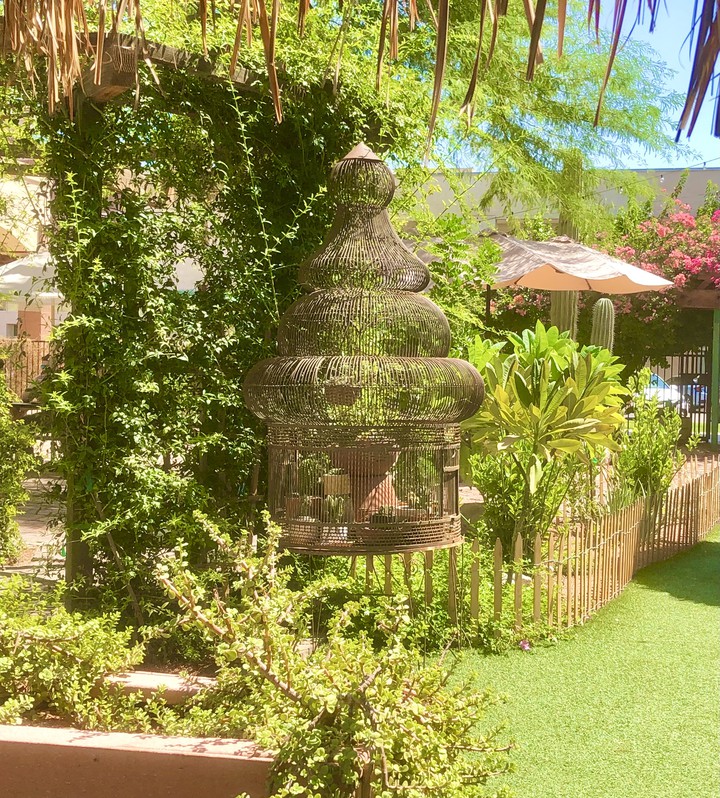 Aviario