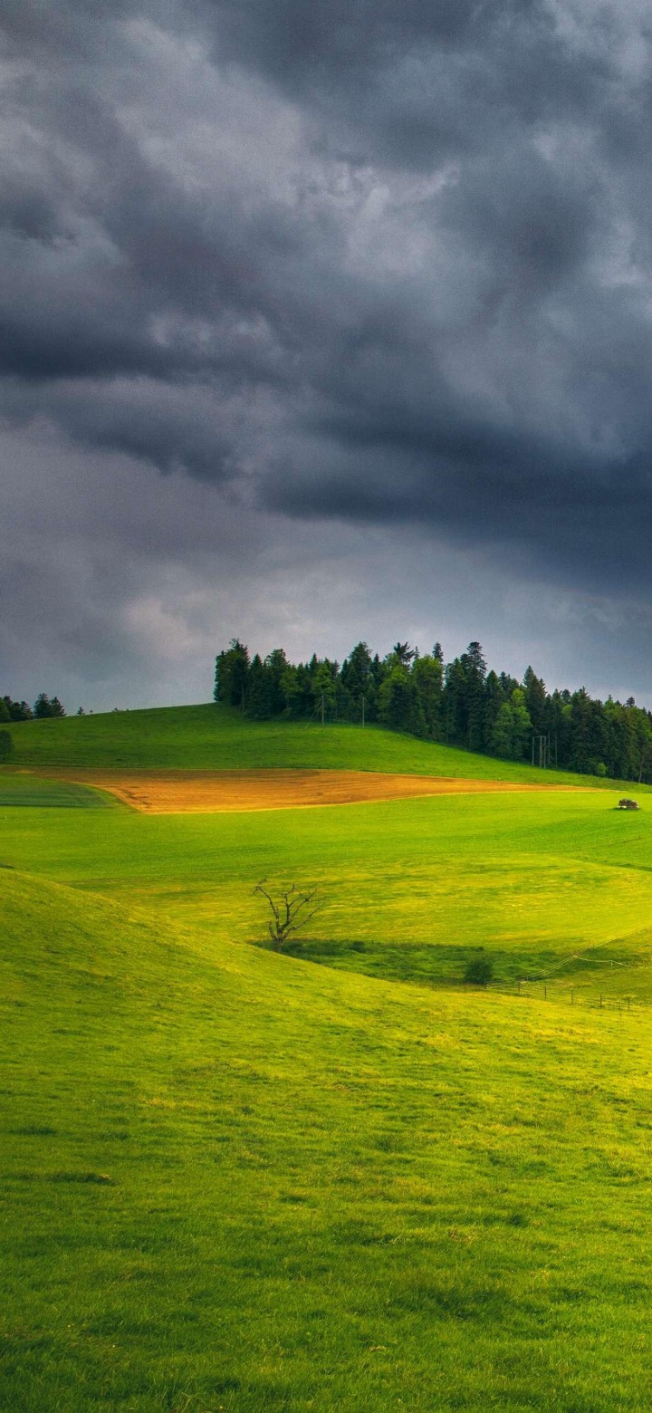 Storm