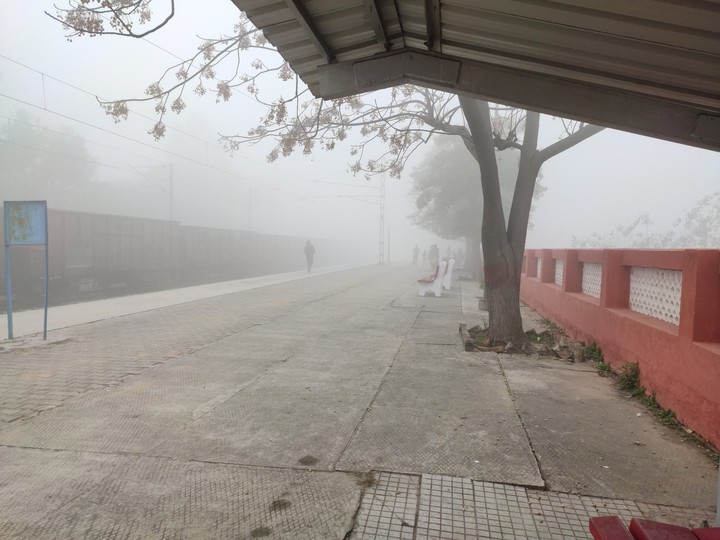 Foggy in summer