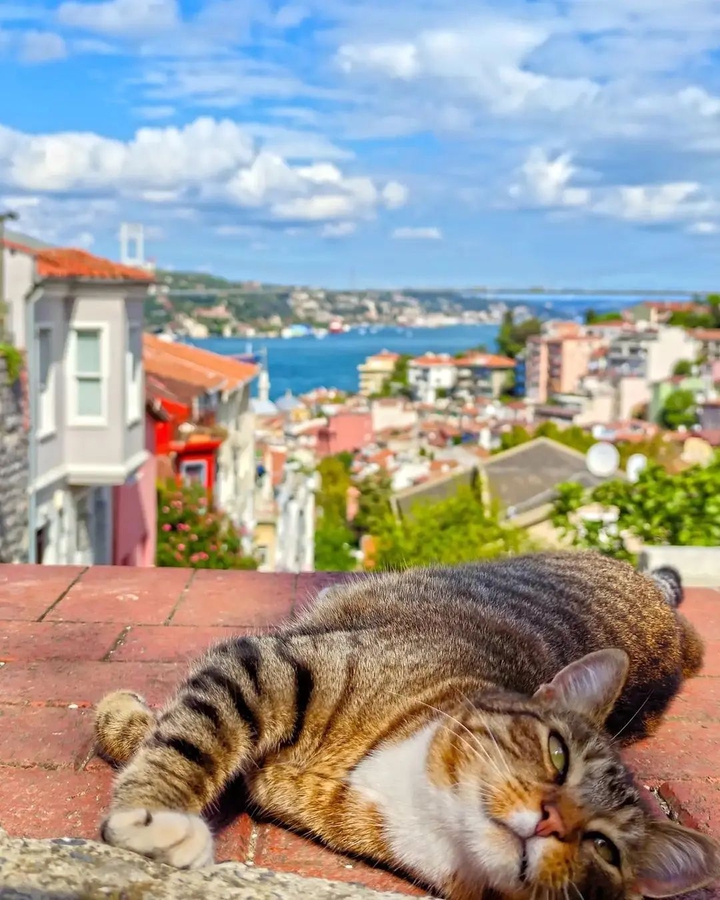 İstanbul ❤️