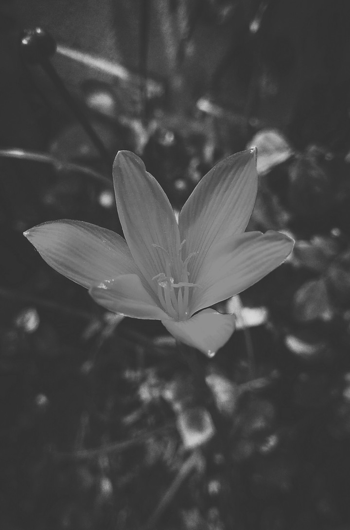 B&W