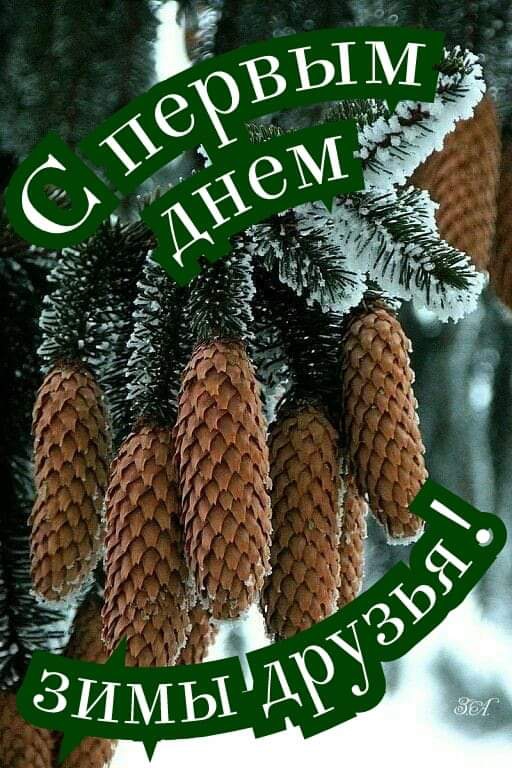 зима