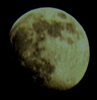 Mond