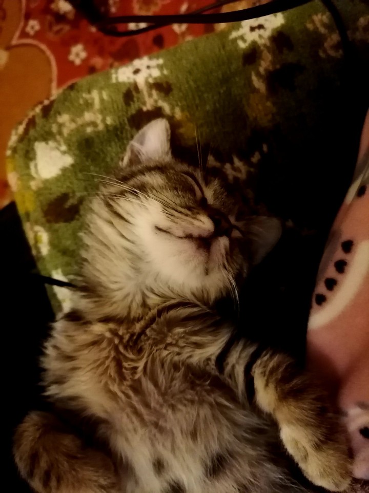 sleepy boy