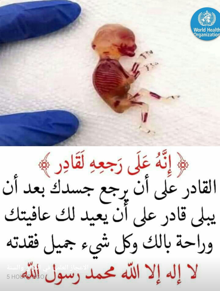 ونعم بالله