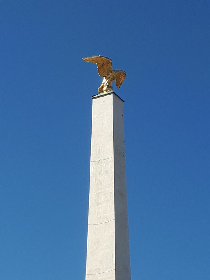 Golden pride