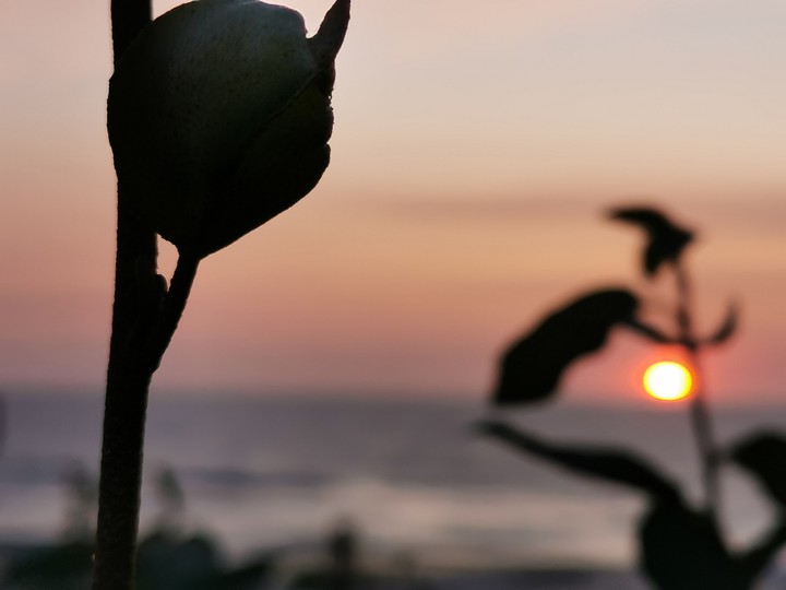 - sun on the sea -