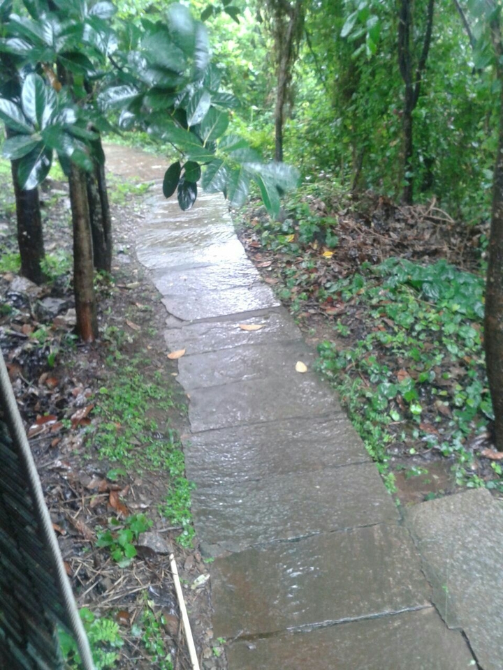 Nature Beauty