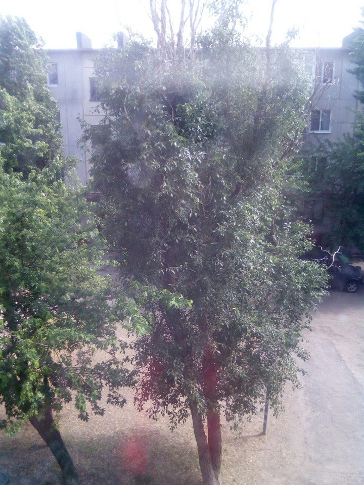 Мой двор.