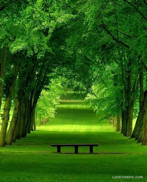 scenery