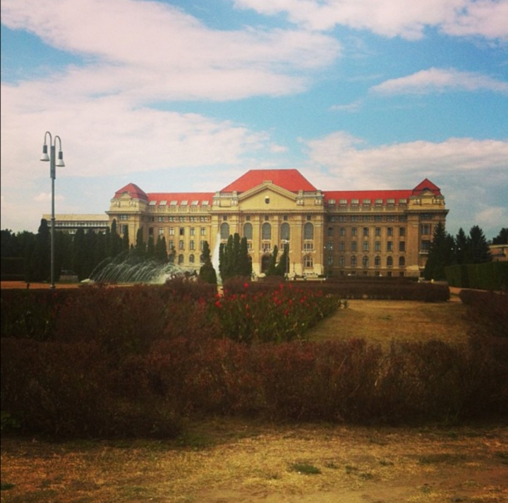 university
