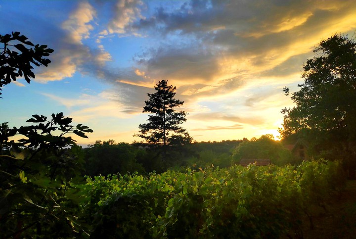 nature
