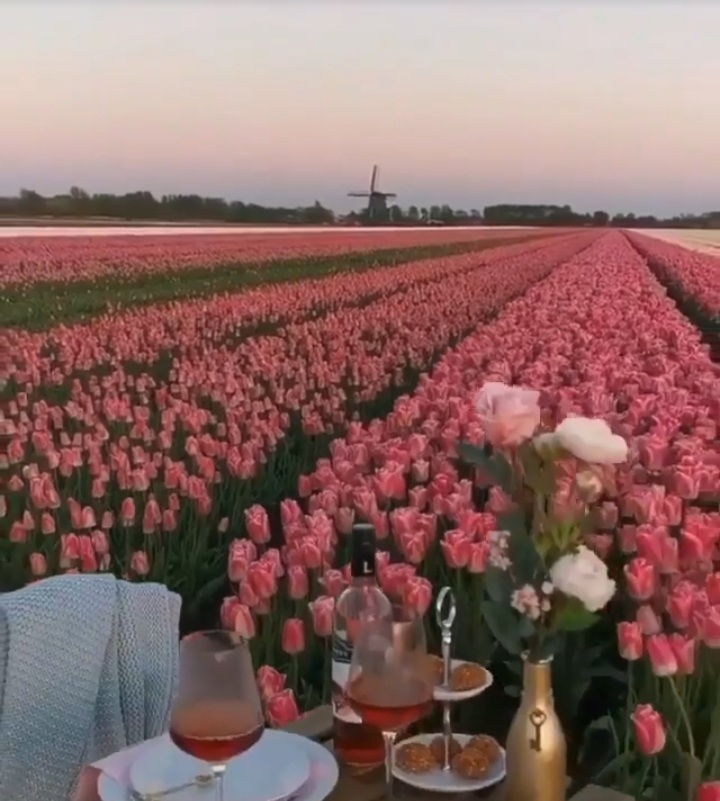 ❤