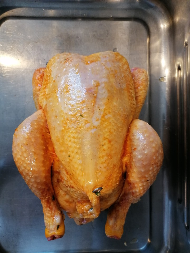 Huhn/Chicken