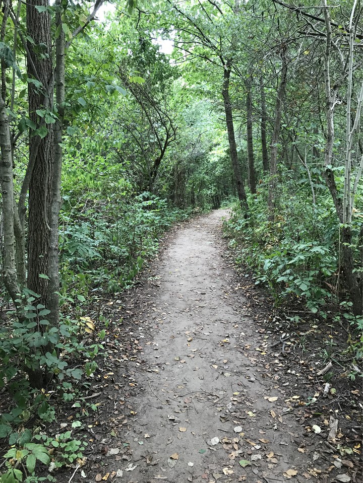 trail to happiness