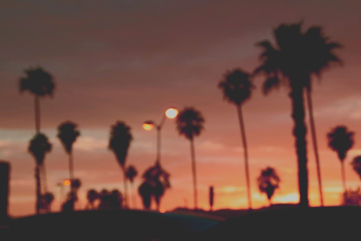 LA  vibes ?
