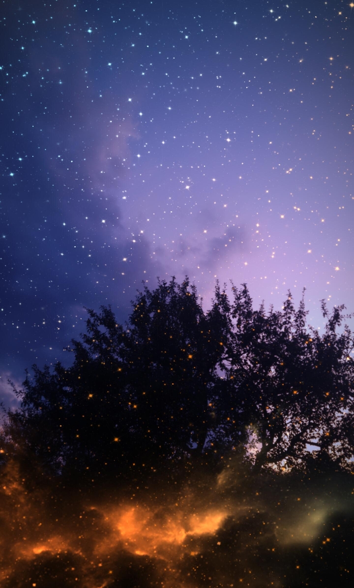 gece