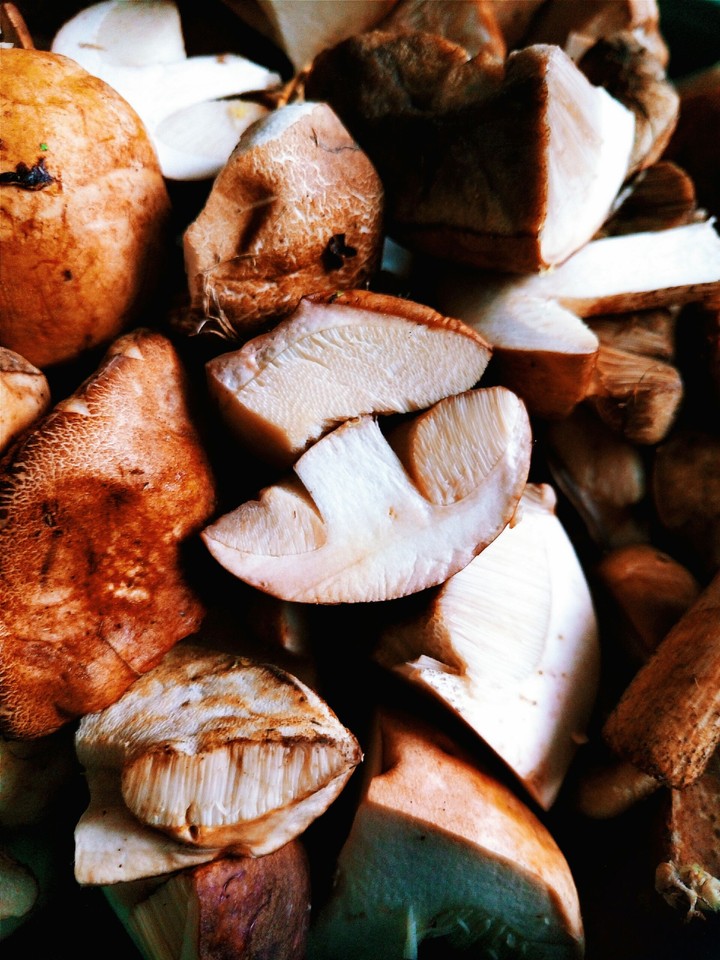Mushroom