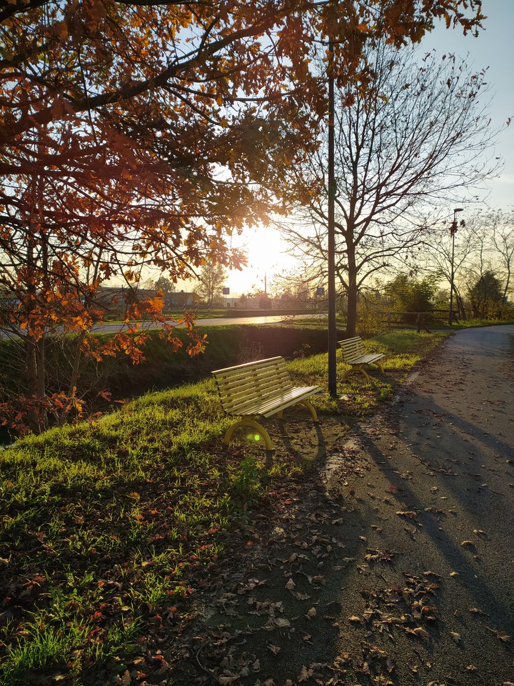Autumn