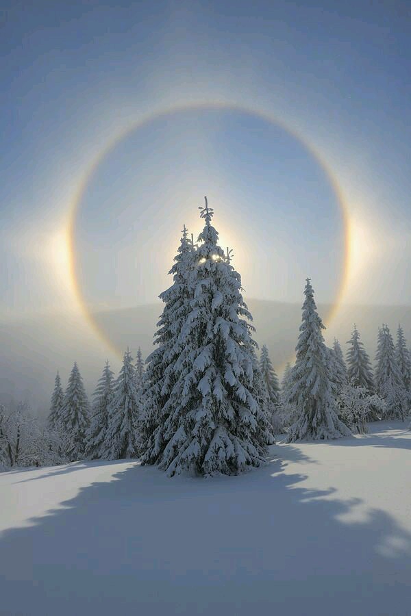 ⚪❄☀️ Snow ❄ white ⚪ Nature ☘❄