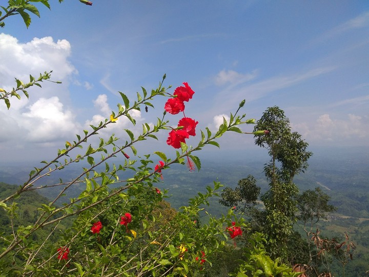 Beautiful Nature