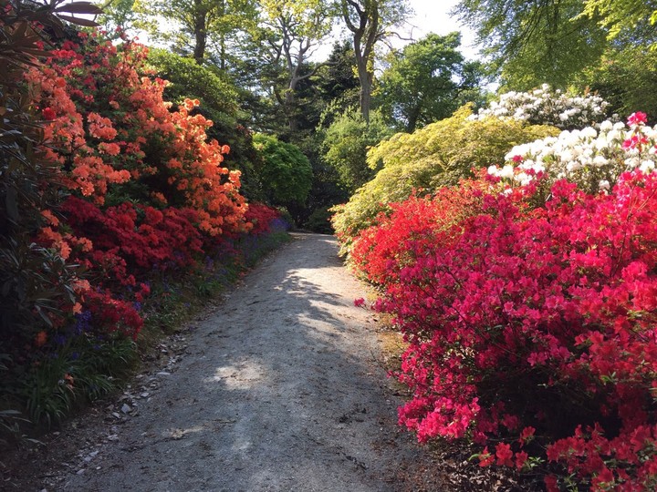 Mount Congreve