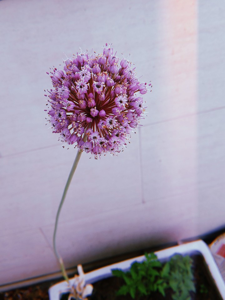 standing