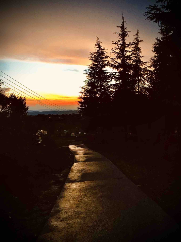road less travelled by