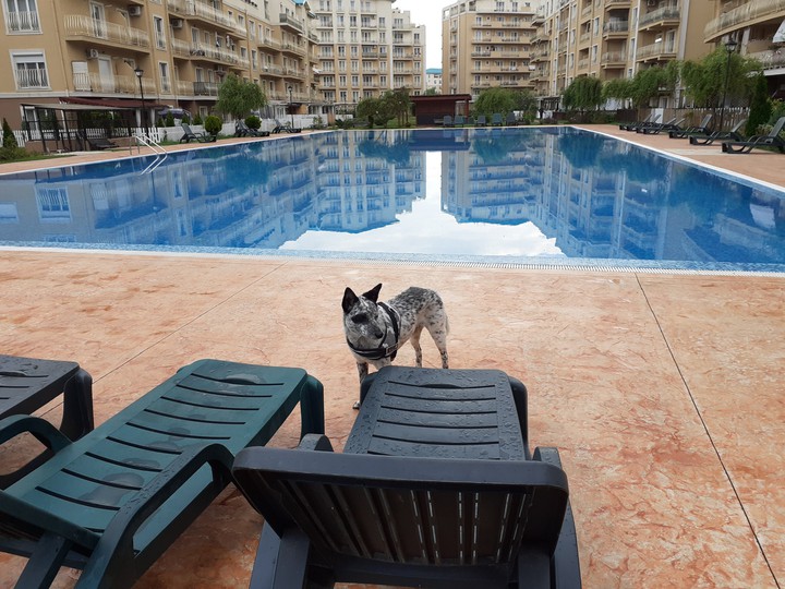 Sury at the pool