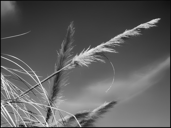 nature 3