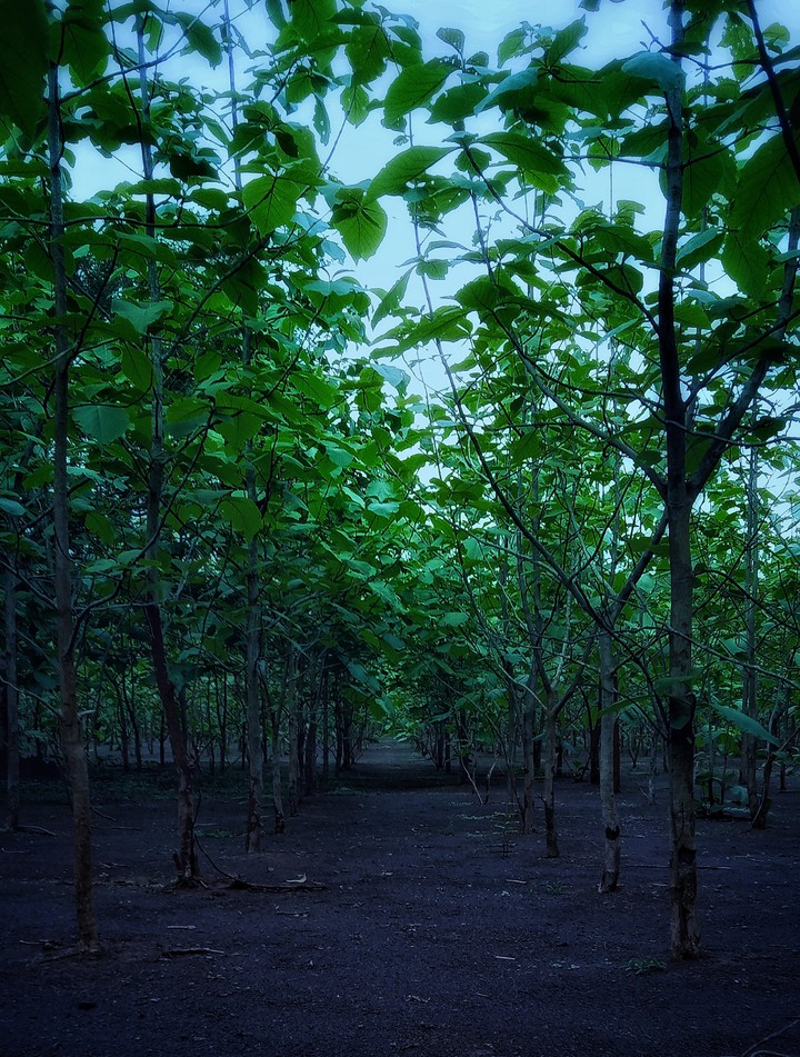 Scene 2