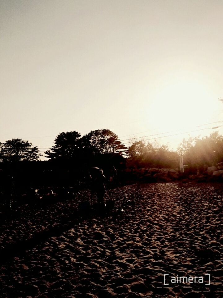 Beach Sunset