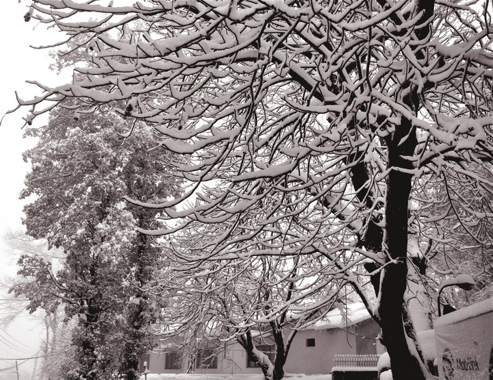 winter