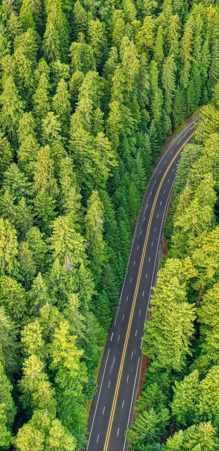 road