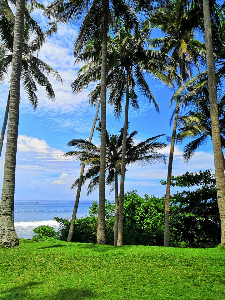 Bali