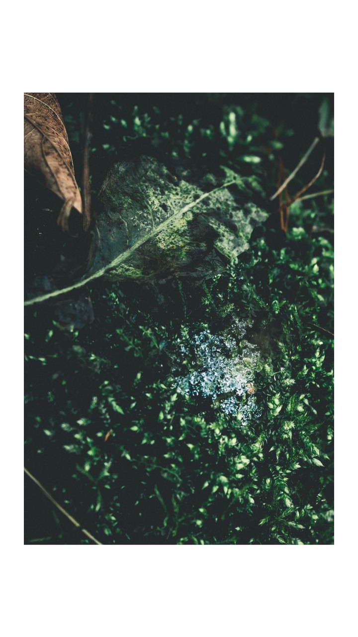 ice