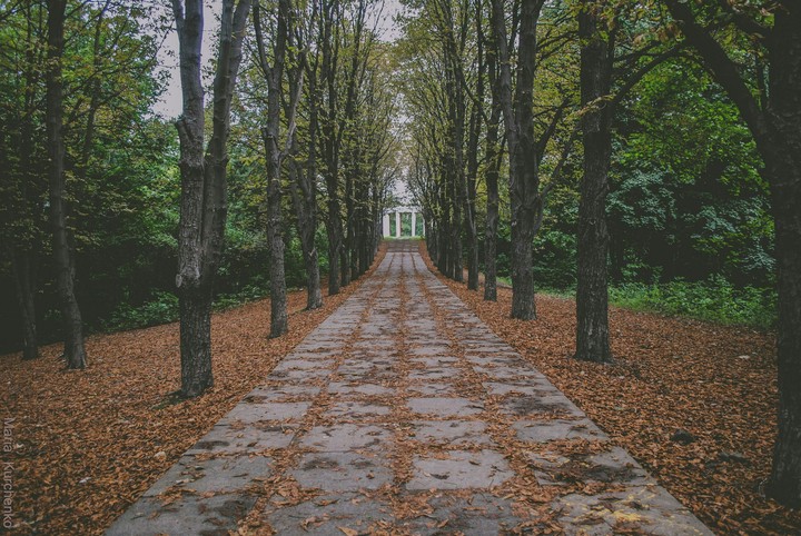 Autumn