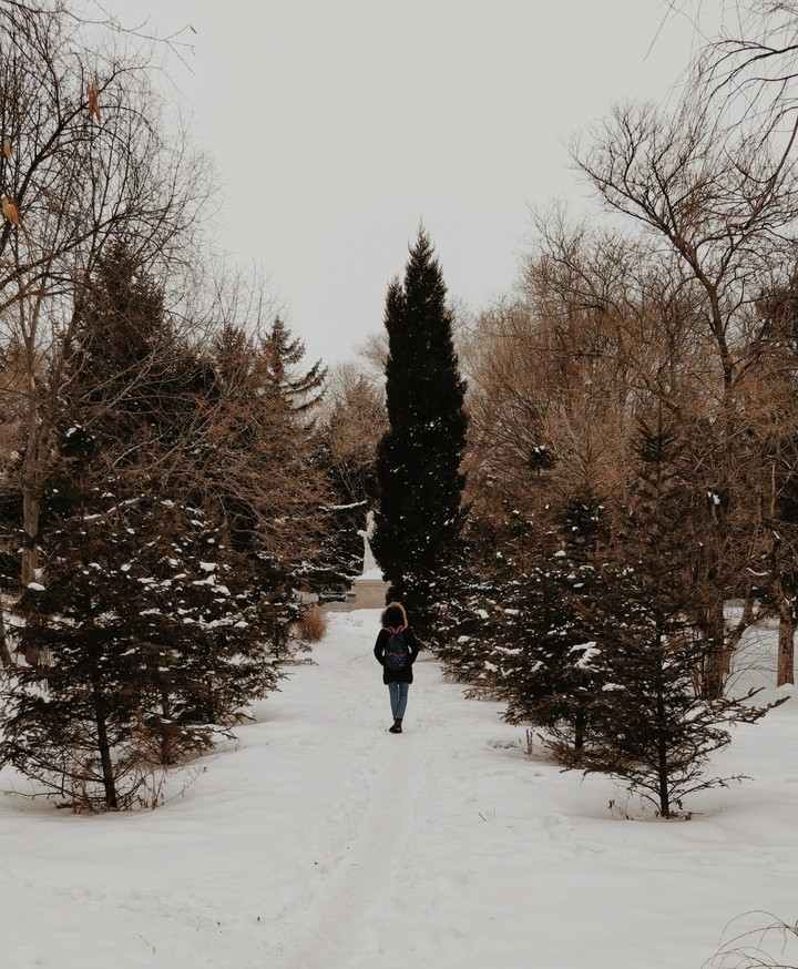 snowy walk