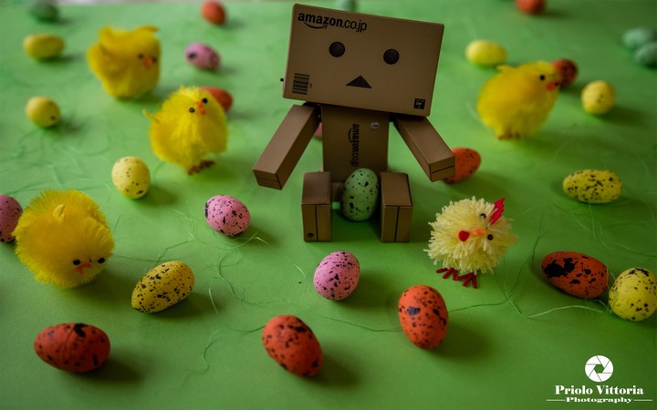 Danbo easter