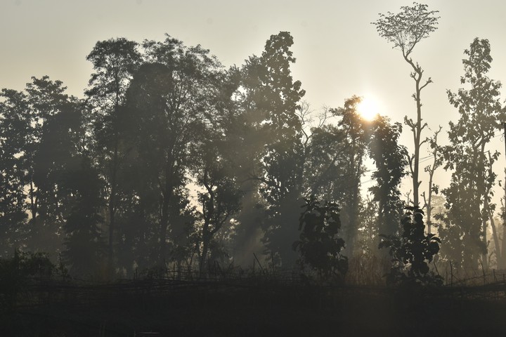 sun rises