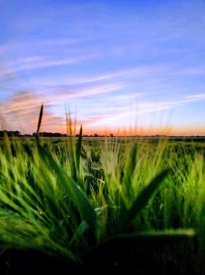 sunset spring