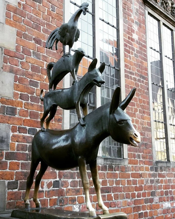 The Bremen's musicians