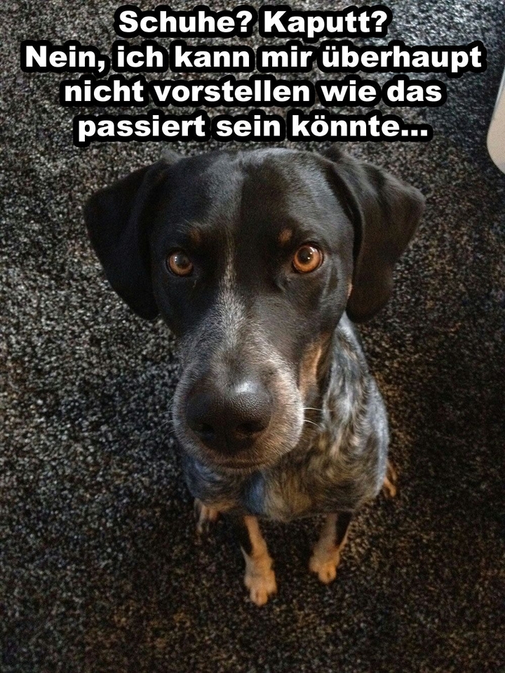 Was?Ich?NIEMALS!!!!!!